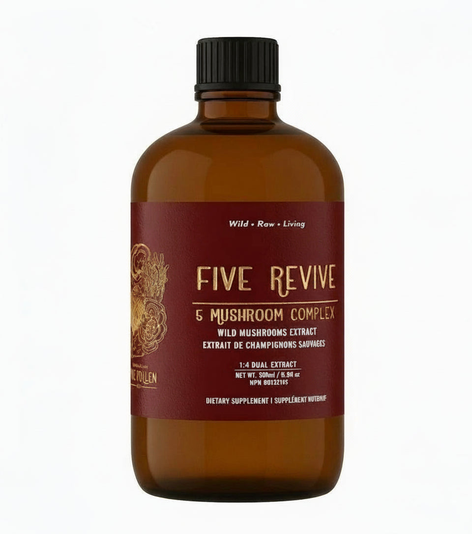 Five Revive Mushroom Complex (250mg/ml)  | 1:4 dual extract- Fruiting body (100ml/3.4oz)