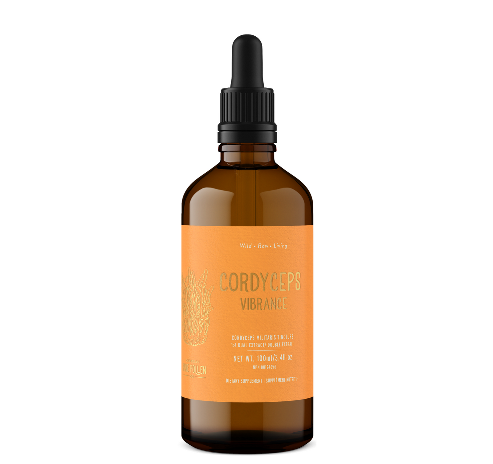 Cordyceps Tincture (250mg/ml)  | 1:4 dual extract- Fruiting body (100ml/3.4oz)