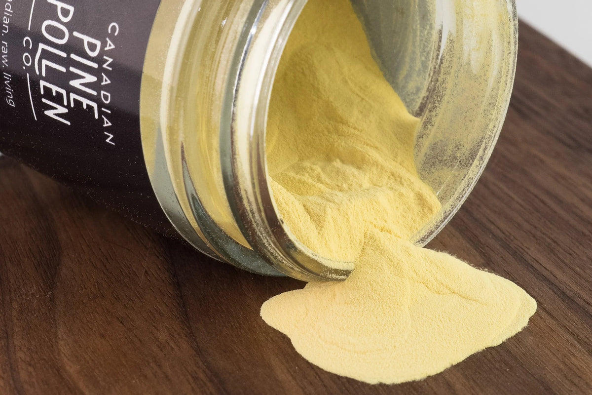 Bulk Wild Pine Pollen - Certified Organic  Lodgepole- 1kg (2.2lb)