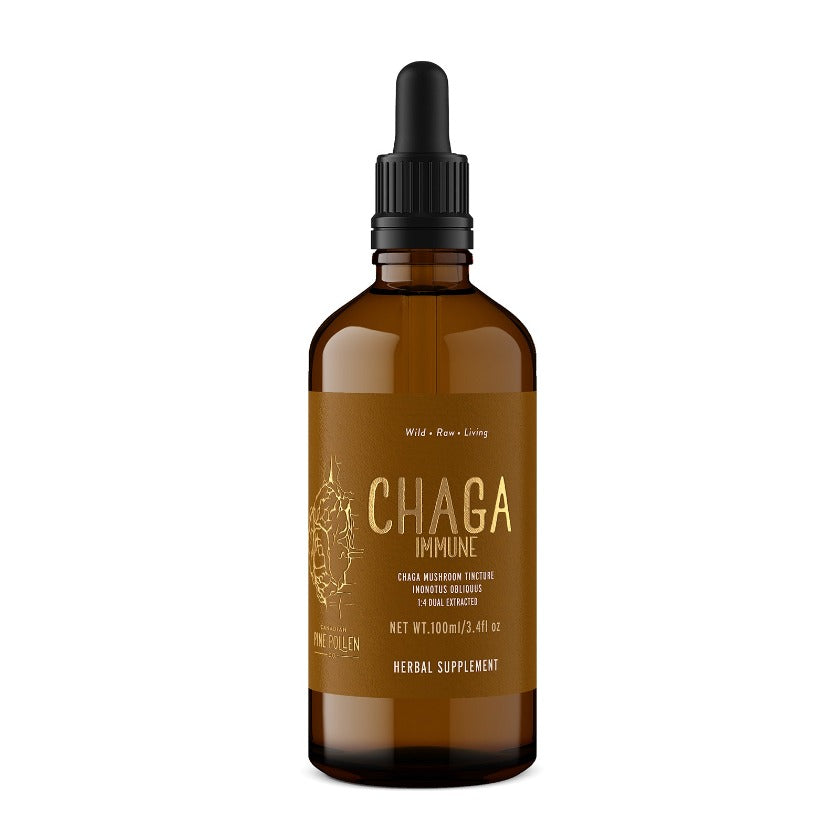 WILD CHAGA IMMUNE: 1:4 DUAL EXTRACT-250MG/ML (100ML/3.4OZ)