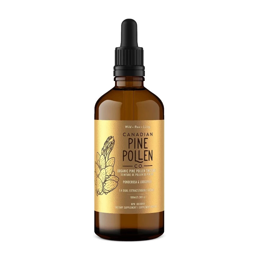 Wild Organic Pine Pollen Tincture 1:4 Extract