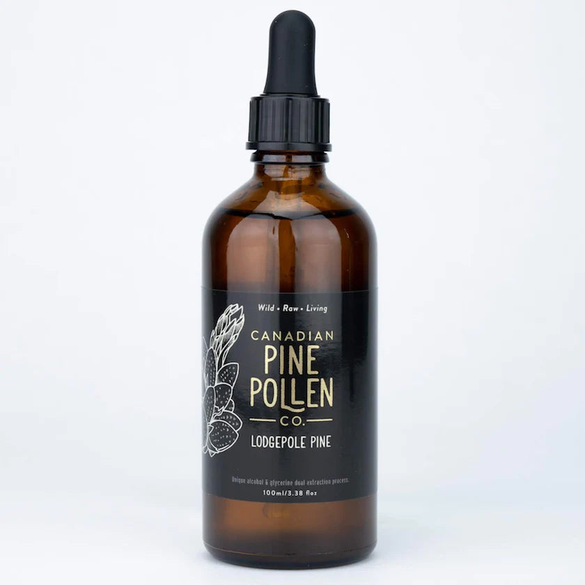 Wild Lodgepole Pine Pollen Tincture - Certified Organic (100mL-3.4 fl oz)