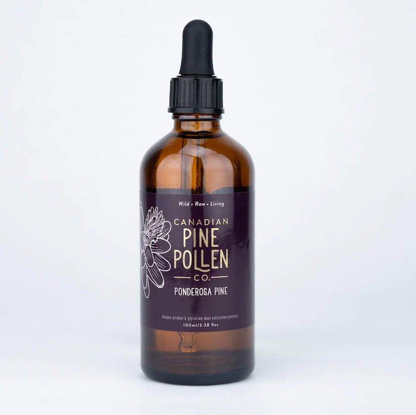 Wild Ponderosa Pine Pollen Tincture - Certified Organic (100mL-3.4 fl oz)