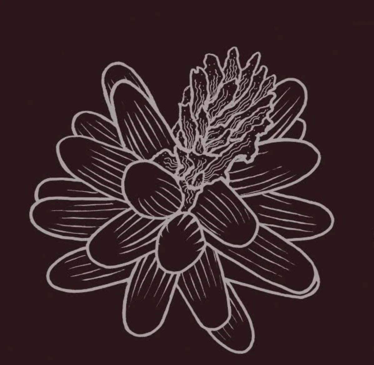 Bulk Wild Ponderosa Pine Pollen - Certified Organic Powder - 1kg (2.2lb)