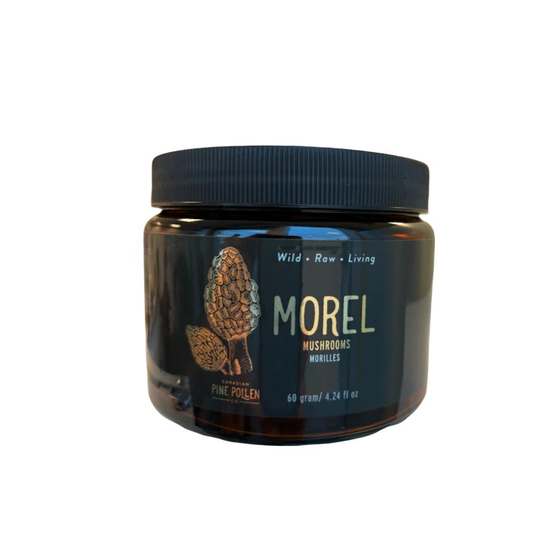 Morel Mushroom (60gram/4.25oz)- Premium Petite Grade