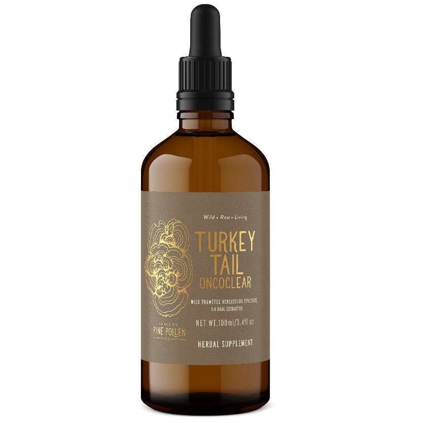 WILD TURKEY TAIL TINCTURE, 1:4 DUAL EXTRACT-250MG/ML (3.38FL OZ/100ML)