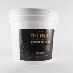 Bulk Wild Pine Pollen - Certified Organic  Lodgepole- 1kg (2.2lb)