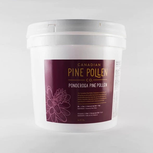 Bulk Wild Ponderosa Pine Pollen - Certified Organic Powder - 1kg (2.2lb)