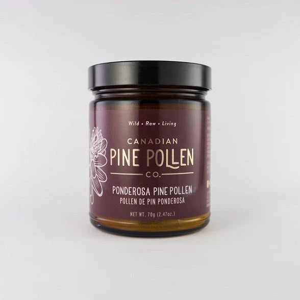 Wild Ponderosa Pine Pollen Powder -  Certified Organic (70g-2.9 oz)
