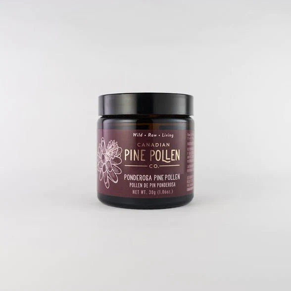 Wild Ponderosa Pine Pollen Powder - Certified Organic 30g (1 oz)