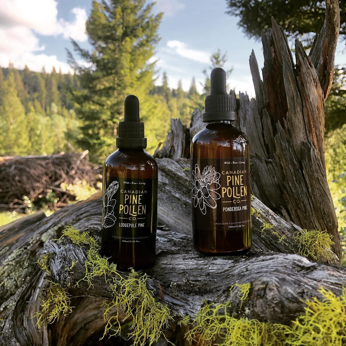 Canadian Pine Pollen Co. Pine Pollen Tinctures 